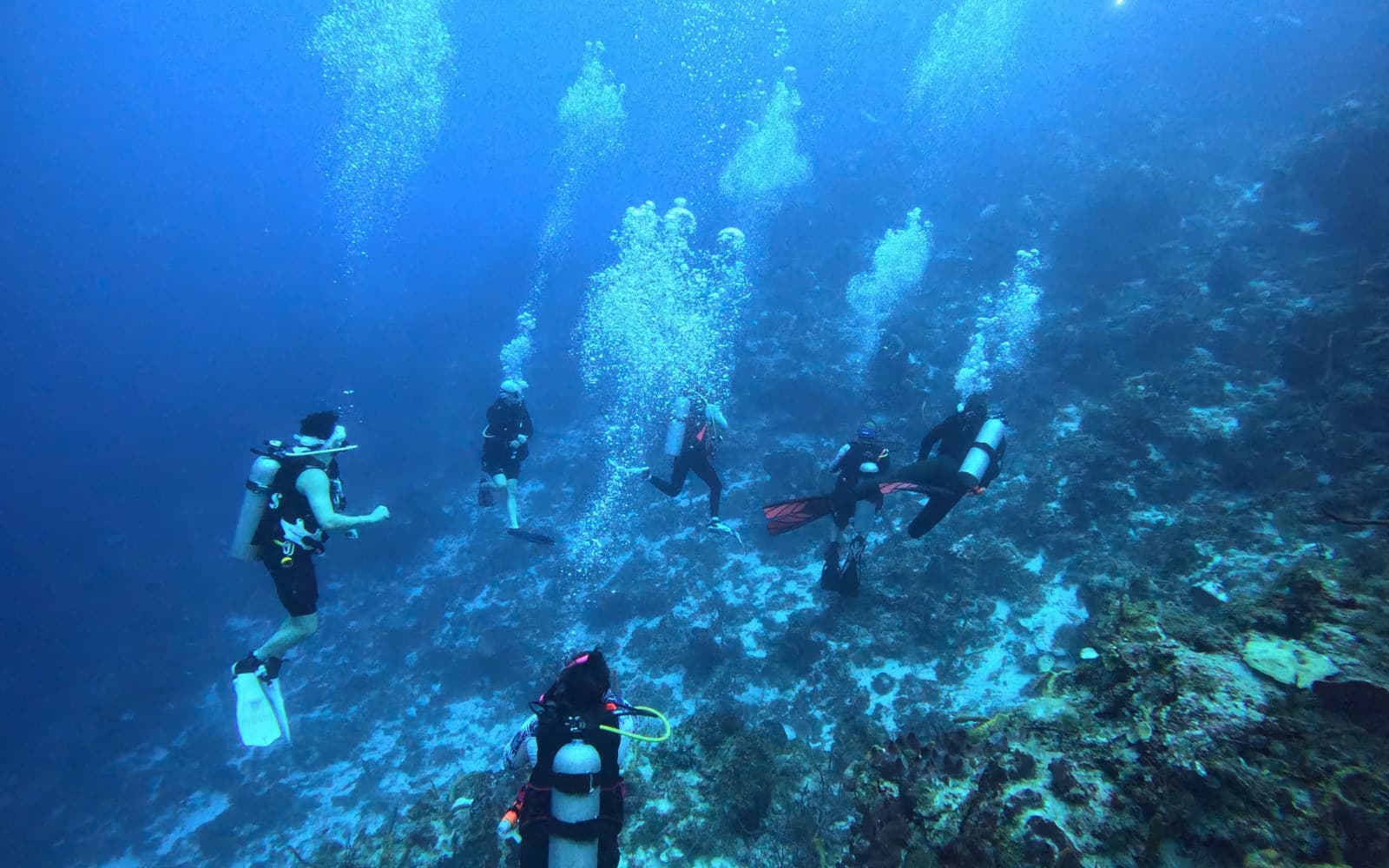 Halloween in Cozumel