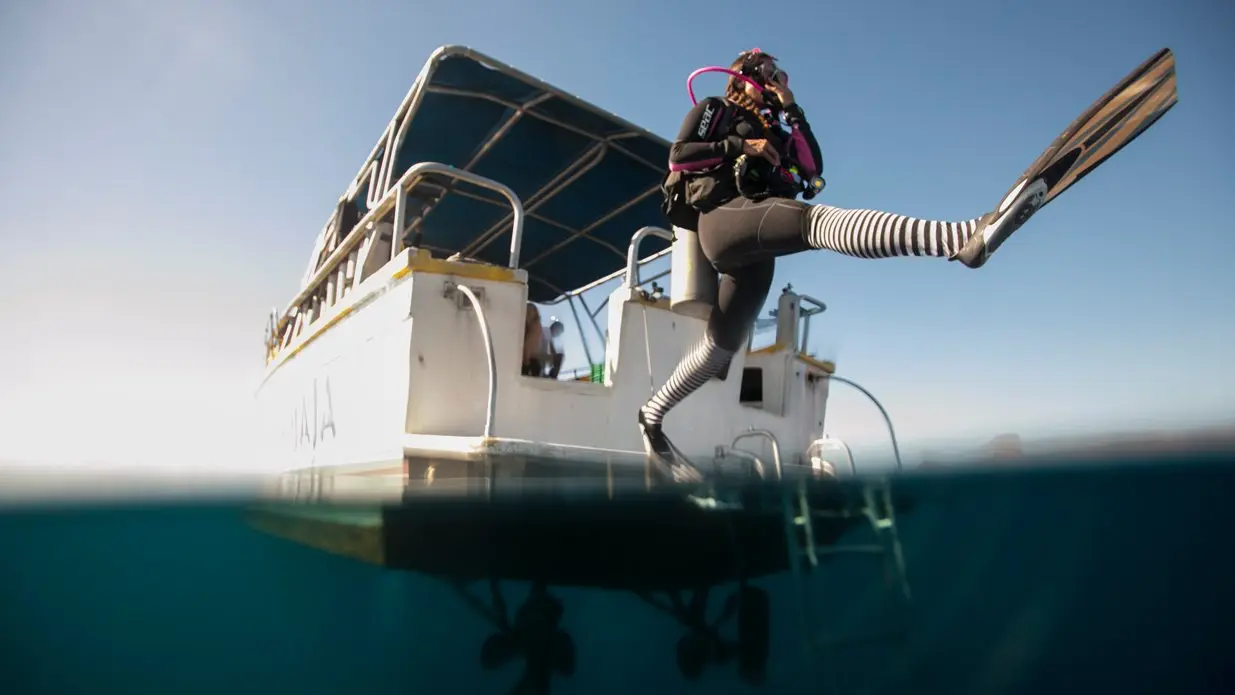 PADI Boat Diver