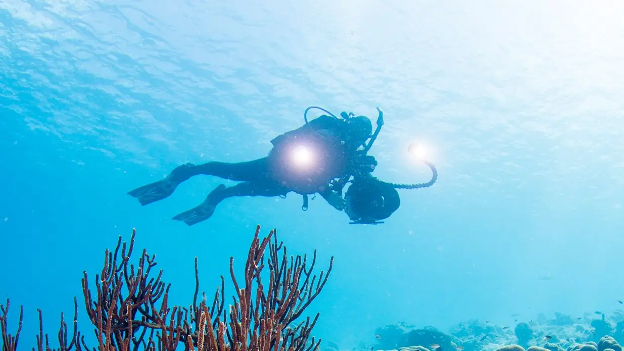 PADI Digital Underwater Photographer