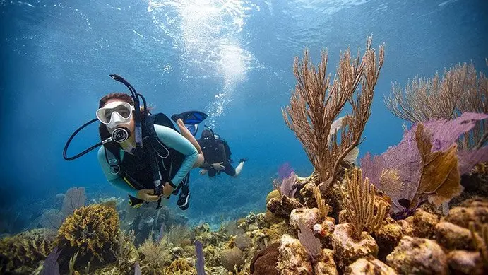 PADI Open Water Diver