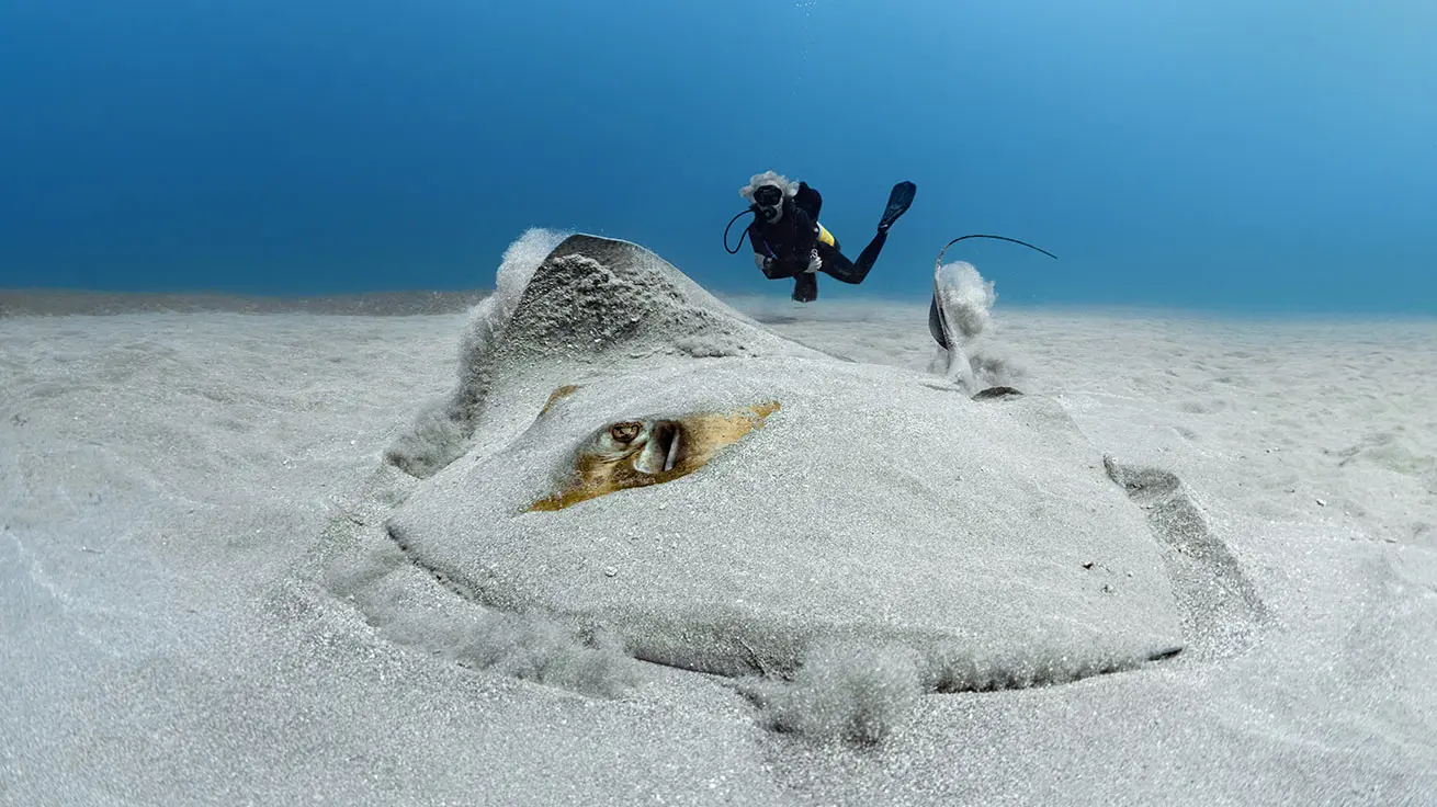 Private Scuba Class