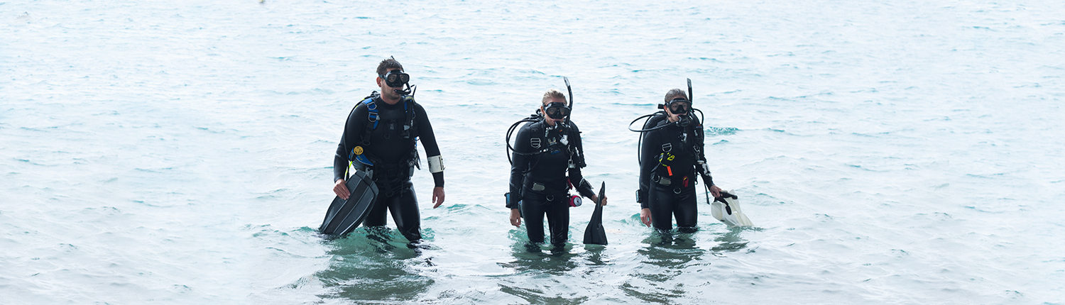 SDI Altitude Diver