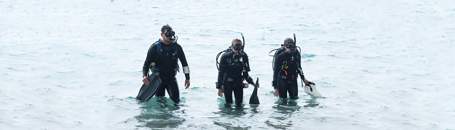 SDI Altitude Diver