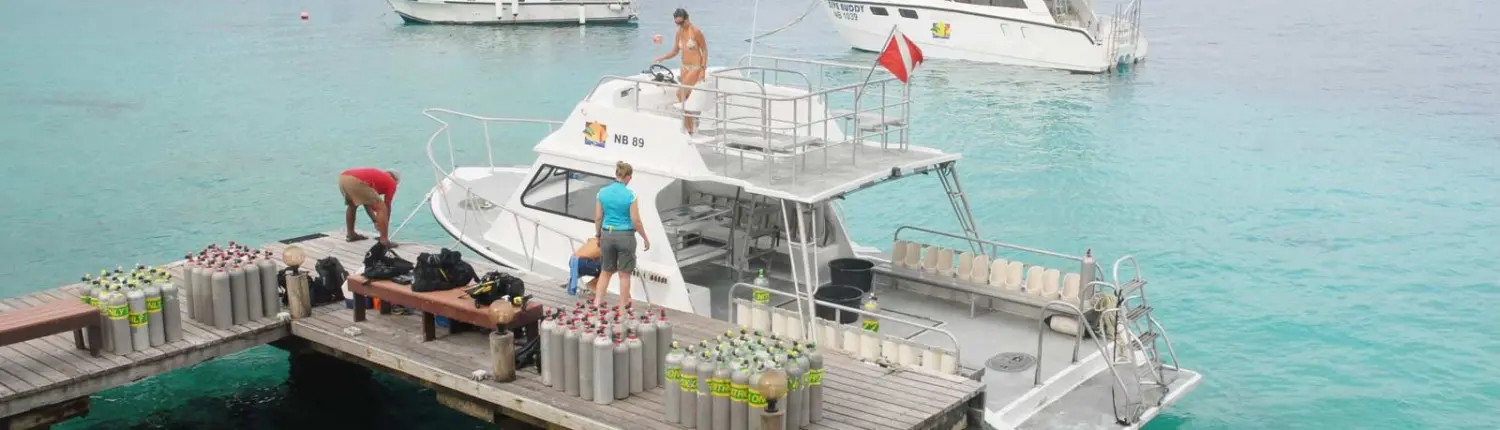 SDI Boat Diver