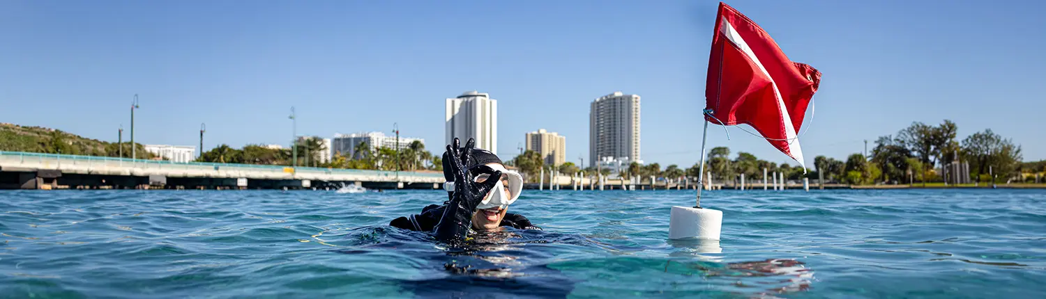 SDI Divemaster