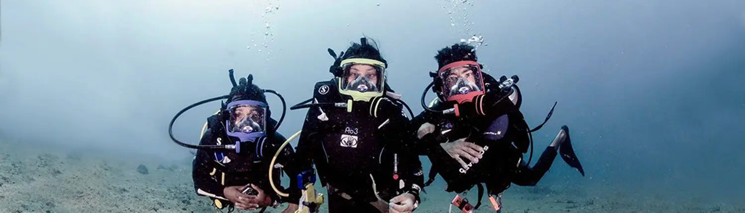 SDI Full Face Mask Diver
