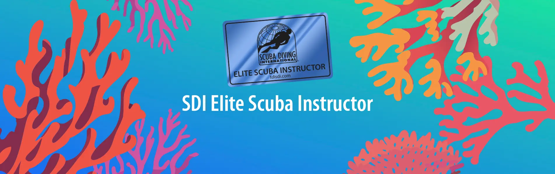 SDI Instructor Crossover