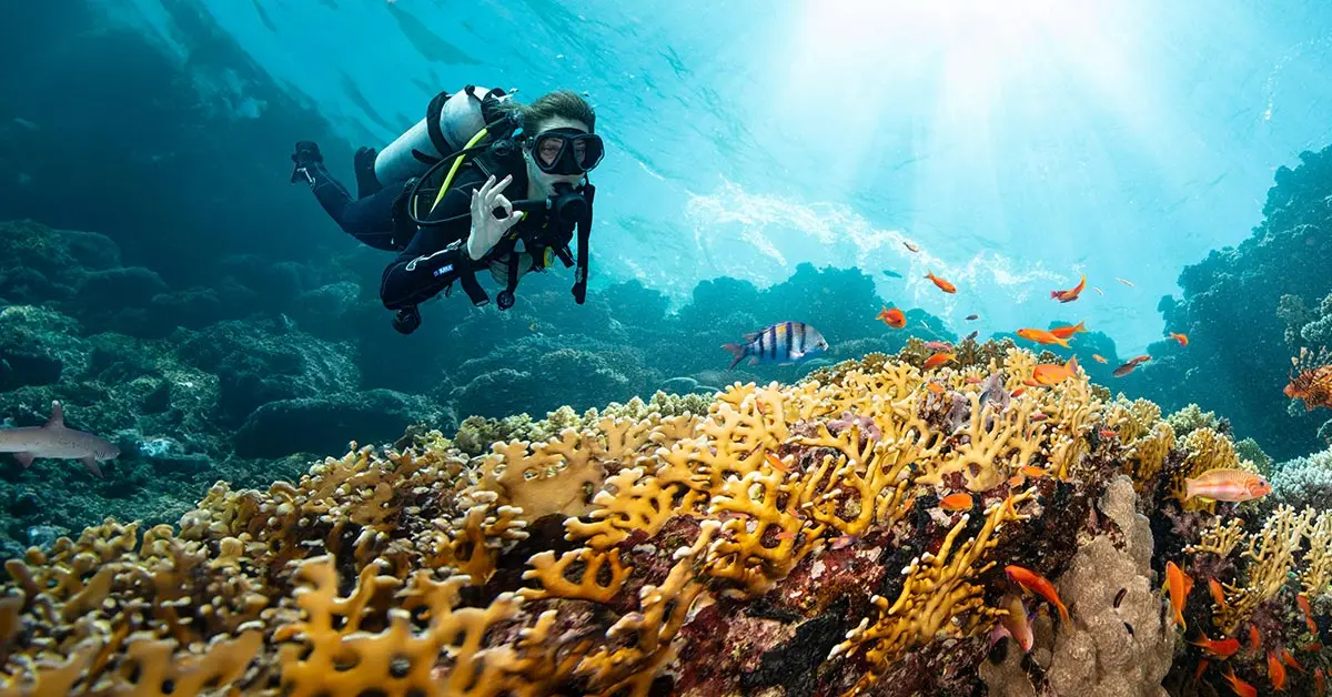 SDI Scuba Discovery Program