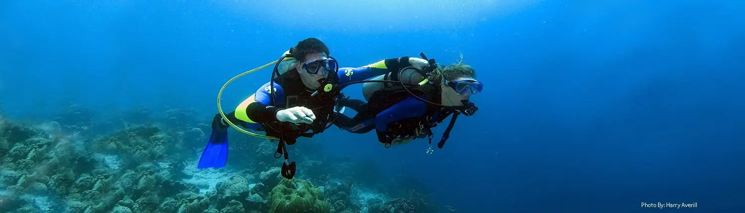 SDI Scubility Diver Program