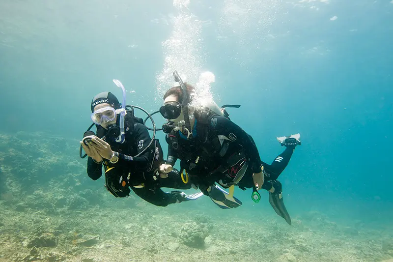 SDI Underwater Navigation