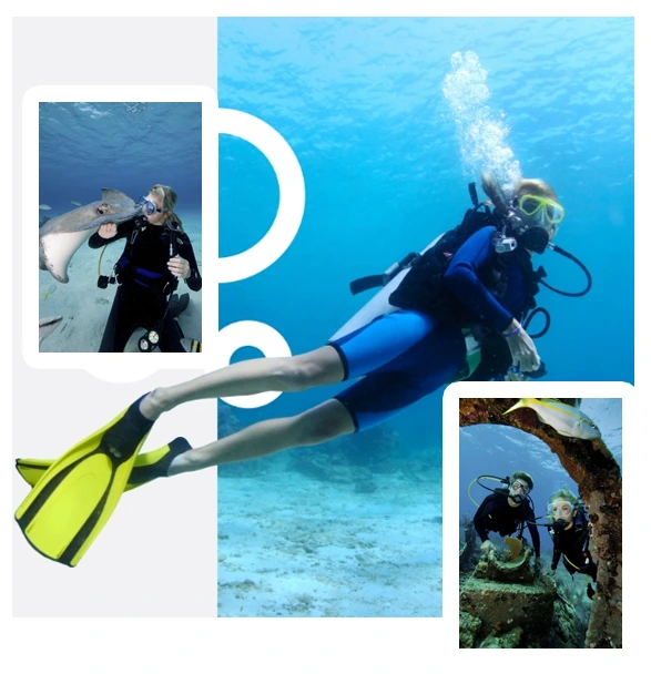 Why choose us illustration